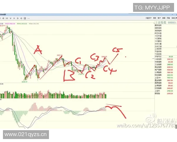 杭州排球队防守策略解析与战术创新探讨 杭州排球队防守策略解析与战术创新探讨